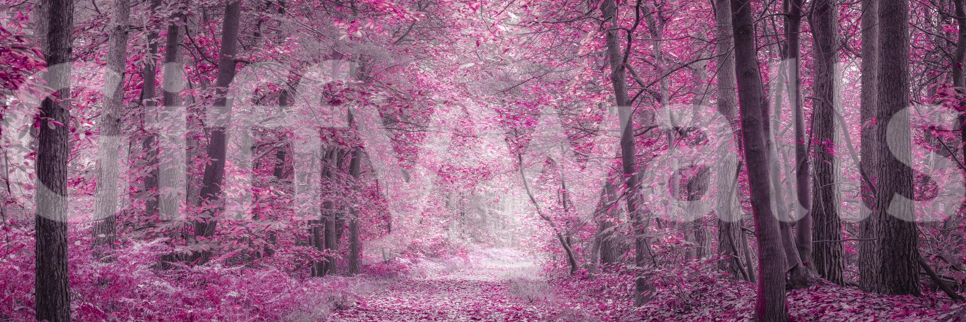 It gives the illusion of a portal into an enchanted world.
