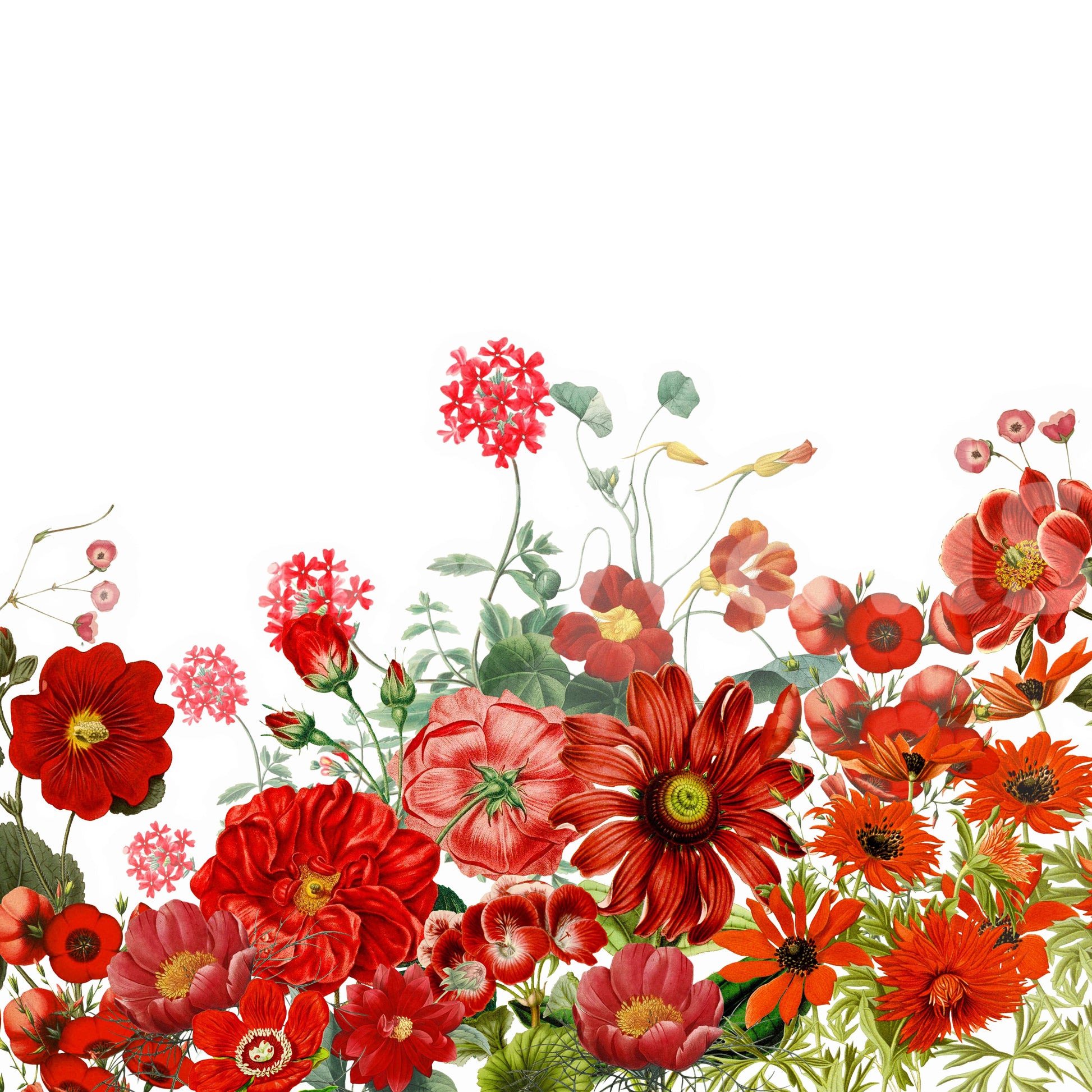 The feeling is one of old-world charm and timeless beauty.
