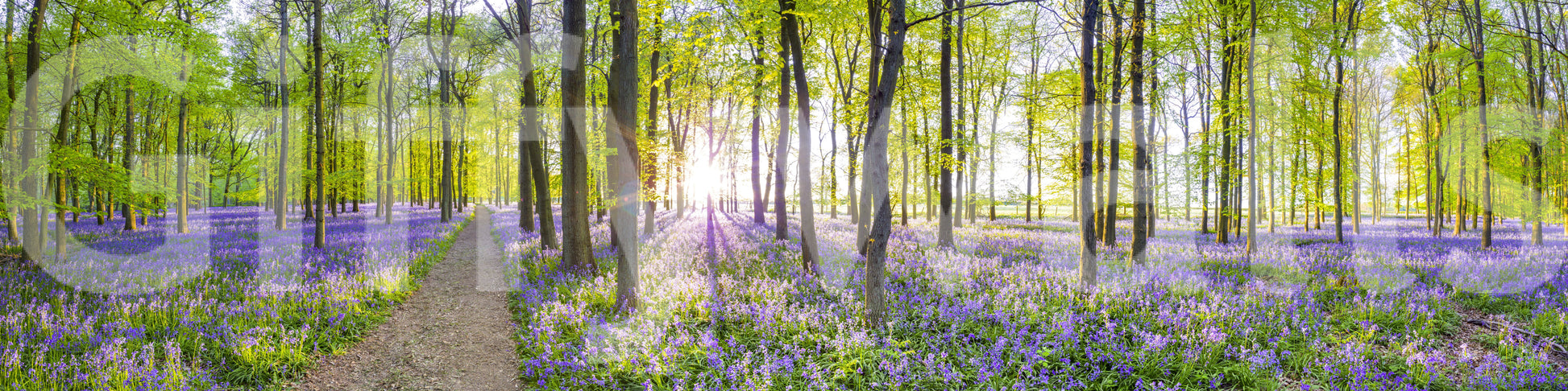 The wallpaper features a subtle, calming pattern.

