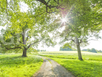 The wallpaper features a subtle, calming pattern.

