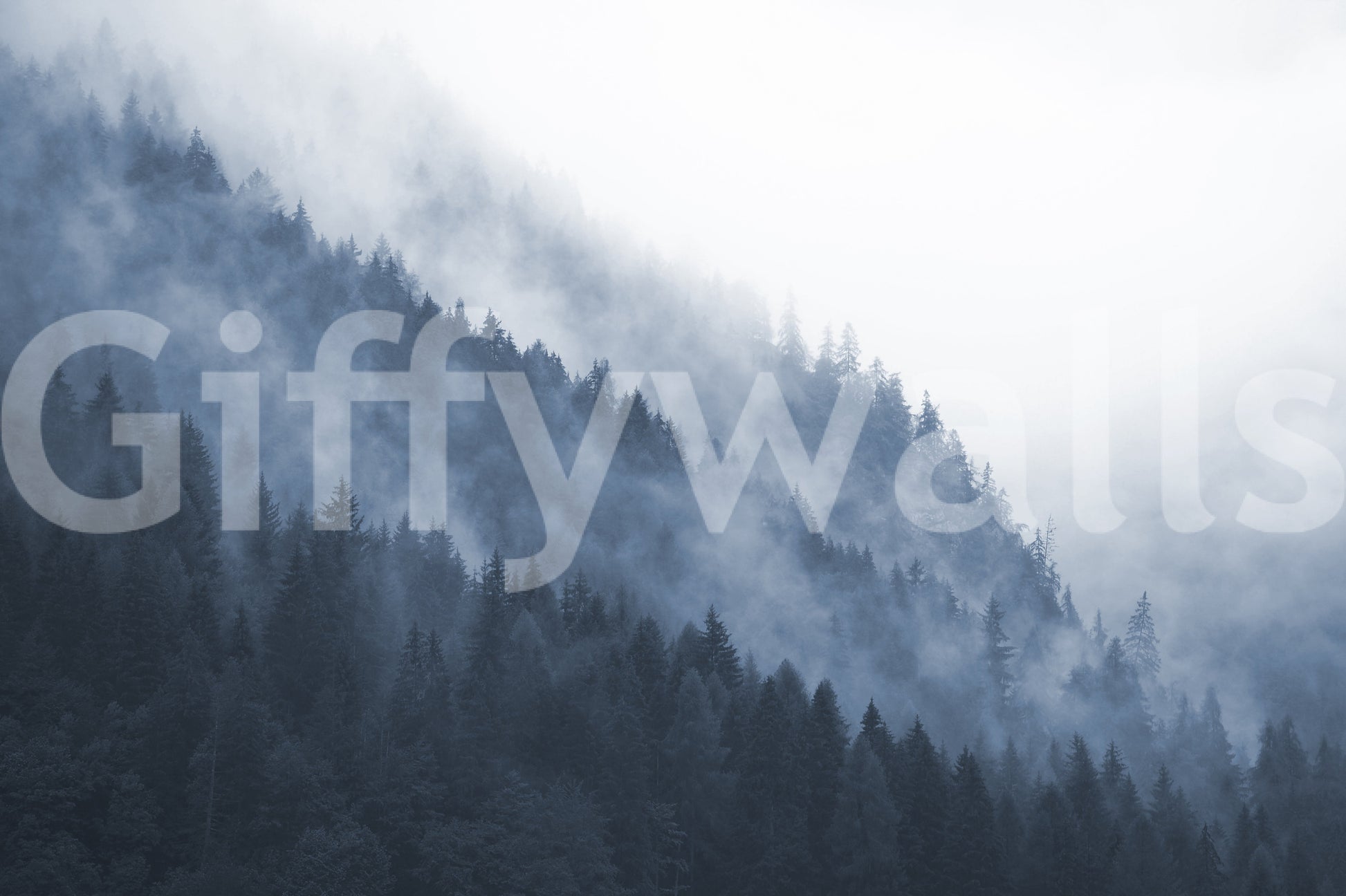 The wallpaper features a subtle, calming pattern.

