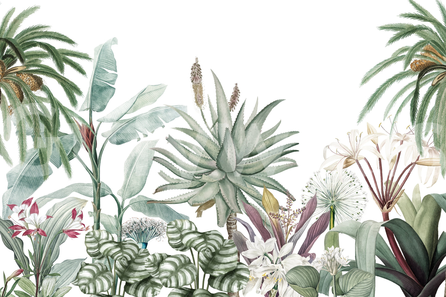 The style is a soft-focus illustration or a painterly design.

