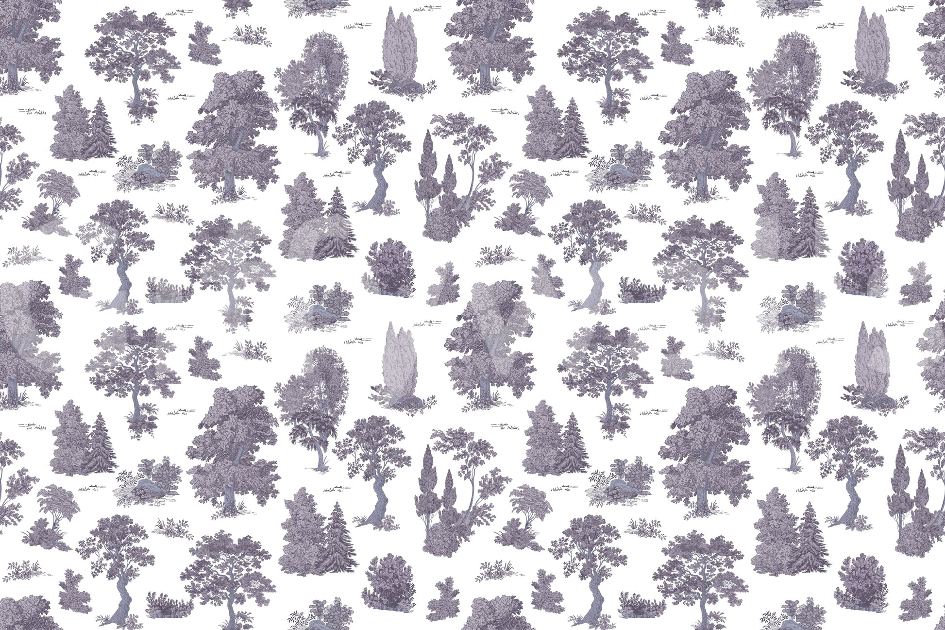 The style is a soft-focus illustration or a painterly design.

