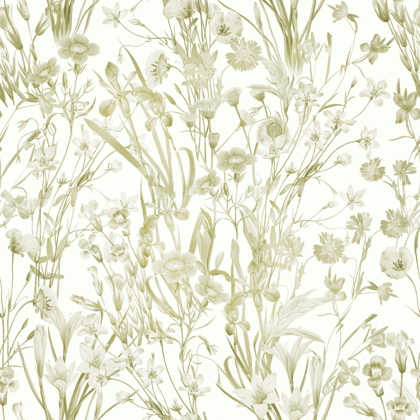 High-quality image of the summer meadow wallpaper

