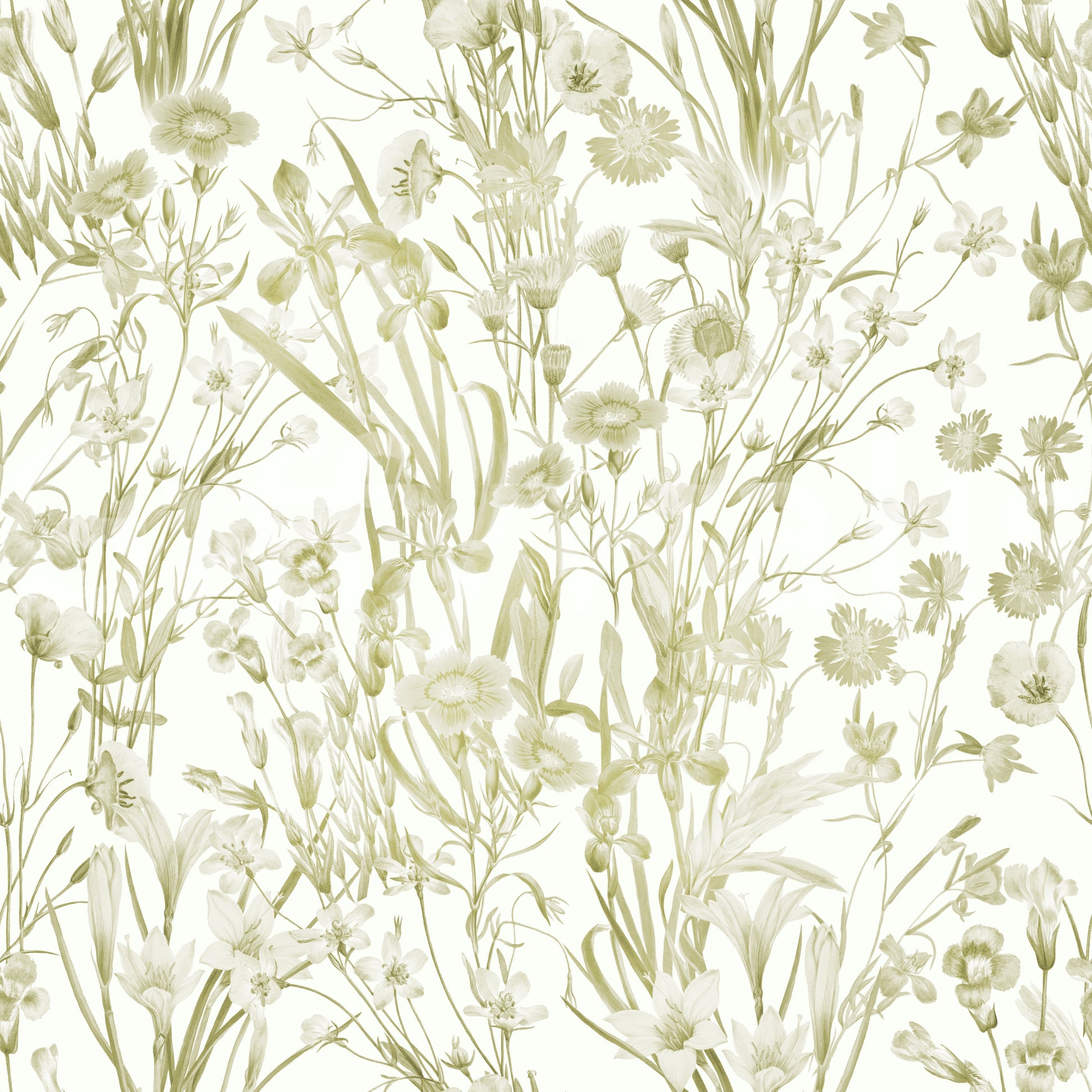 High-quality image of the summer meadow wallpaper

