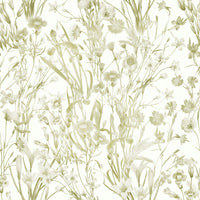 High-quality image of the summer meadow wallpaper

