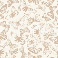 Boho chic butterflies wallpaper⁠

