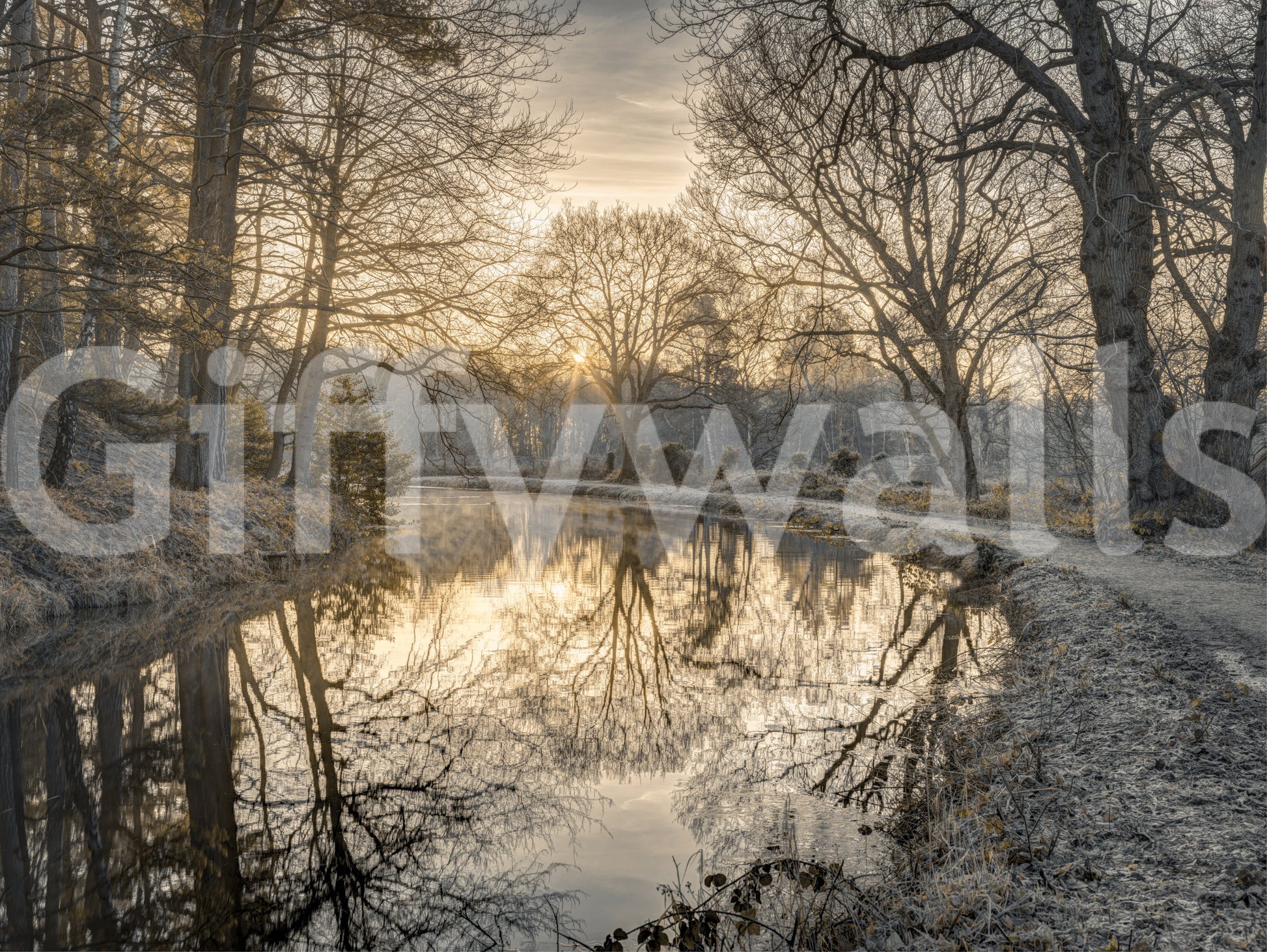 Frosty Morning calming wallpaper

