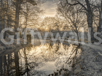 Frosty Morning calming wallpaper

