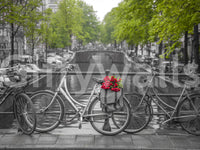 Quintessential Amsterdam bicycle with flowers

