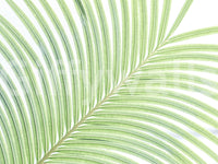 A detail of the organic lines and shadows in the design.

