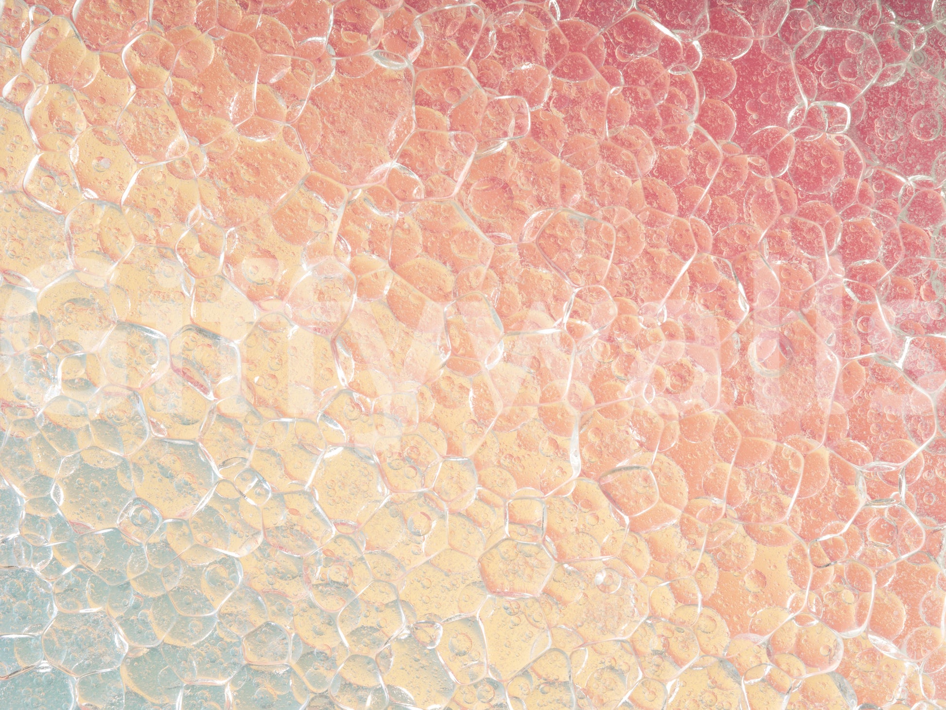 Ethereal Cells stylish wallpaper