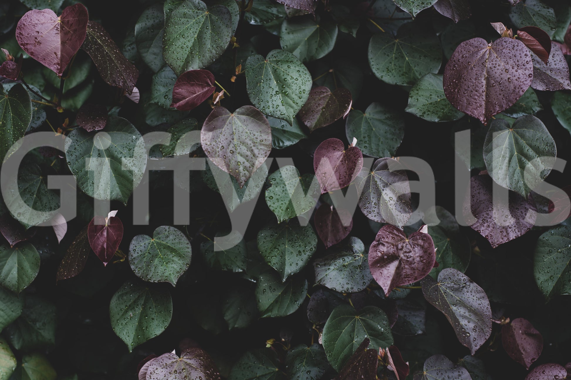 A detail of the warm tones in the leaves and sky.

