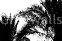 A detail of the warm tones in the scene.

