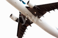 A detail of the warm tones in the ground and sky.

