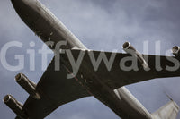 A detail of the brushstrokes and tones in the design.