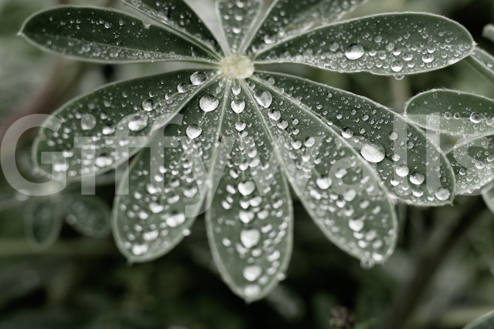 A detail of the warm tones in the flowers and greenery.