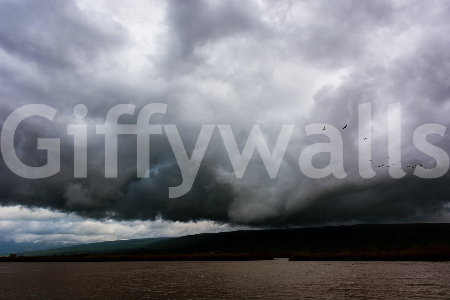 An artistic nature escape mural for home decor.

