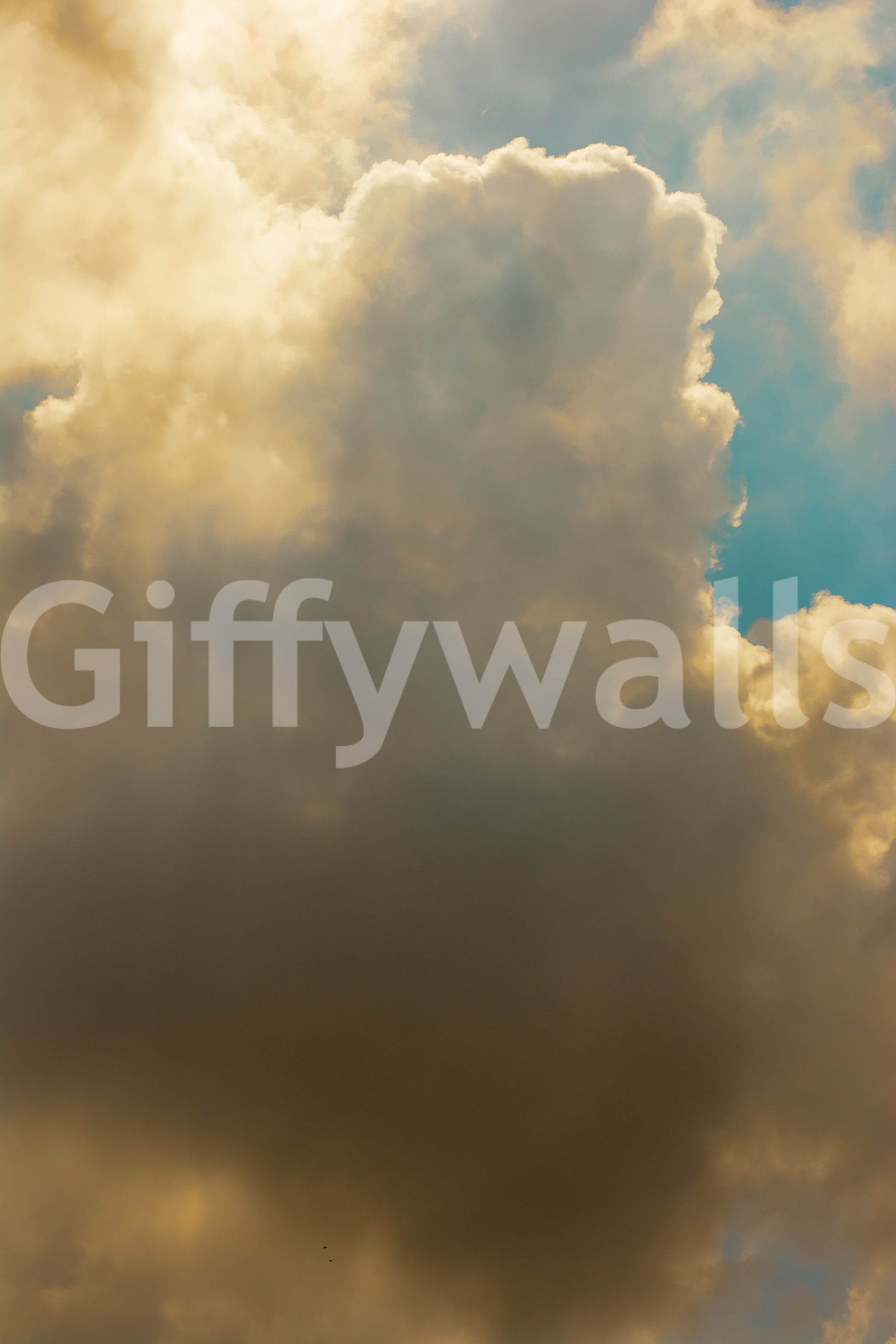 A high-quality abstract sky wall mural for walls.

