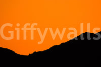 A calming desert theme wallpaper mural that defines a space.

