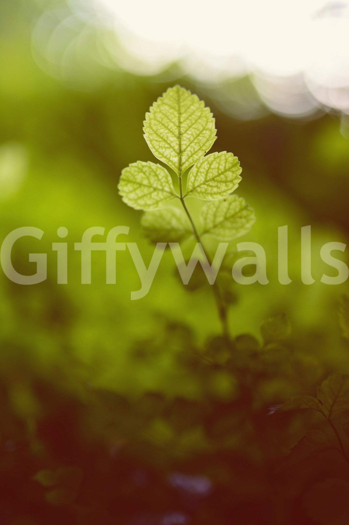 A tranquil abstract leaf mural on the wallpaper.

