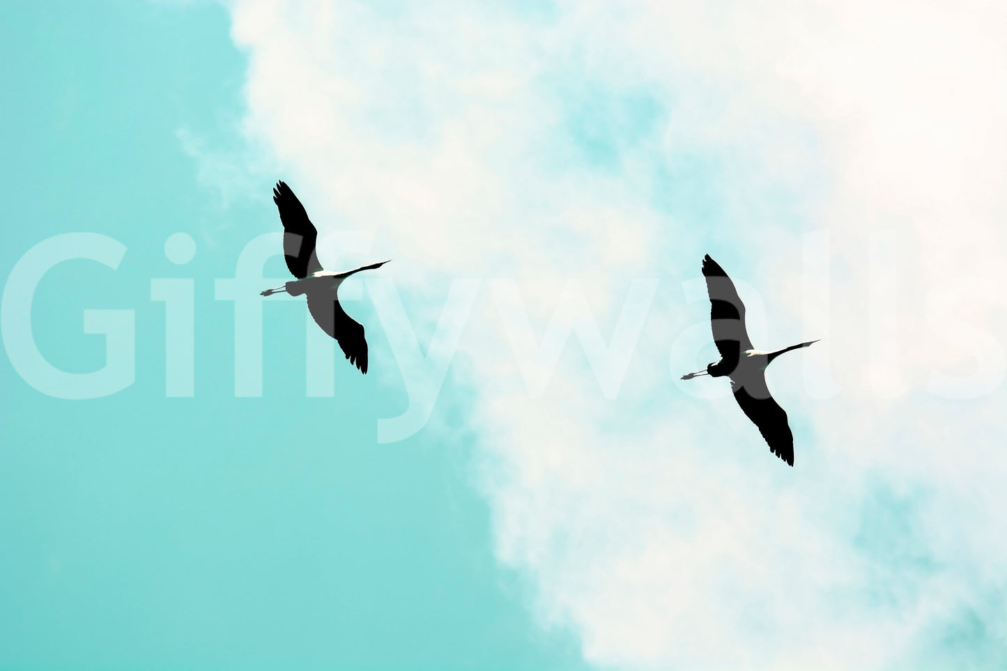 A high-quality abstract bird wall mural for walls.

