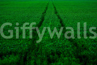 A high-quality minimalist track wall mural for walls.

