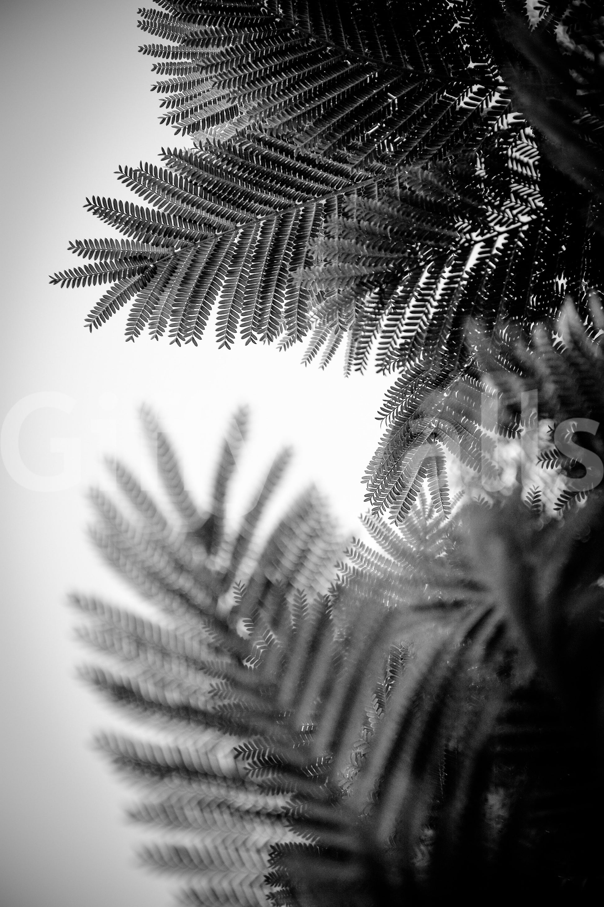 A high-quality minimalist wall mural for walls.

