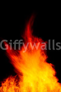 A high-quality cultural event wall mural for walls.

