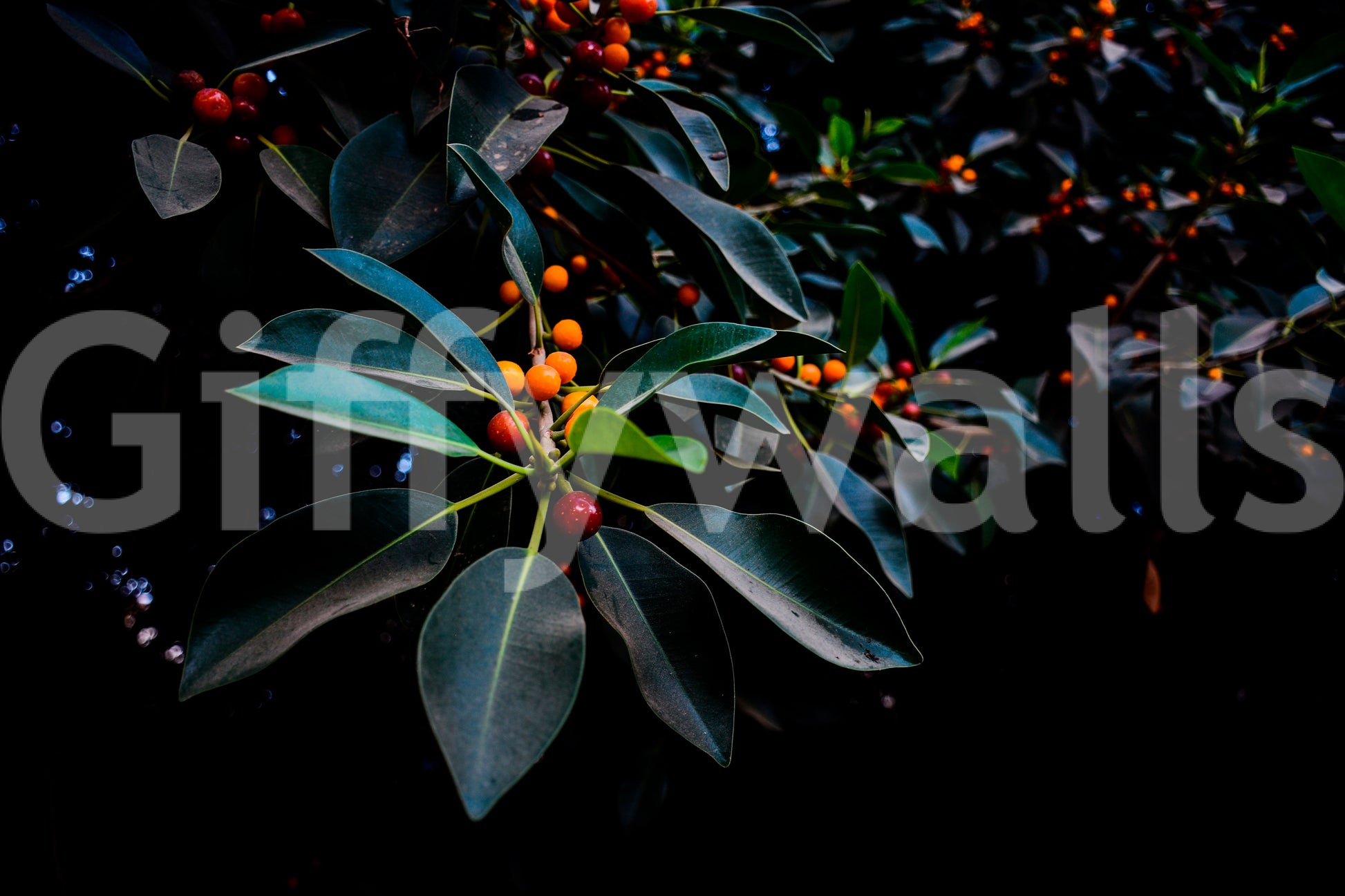 A high-quality dark color wall mural for walls.

