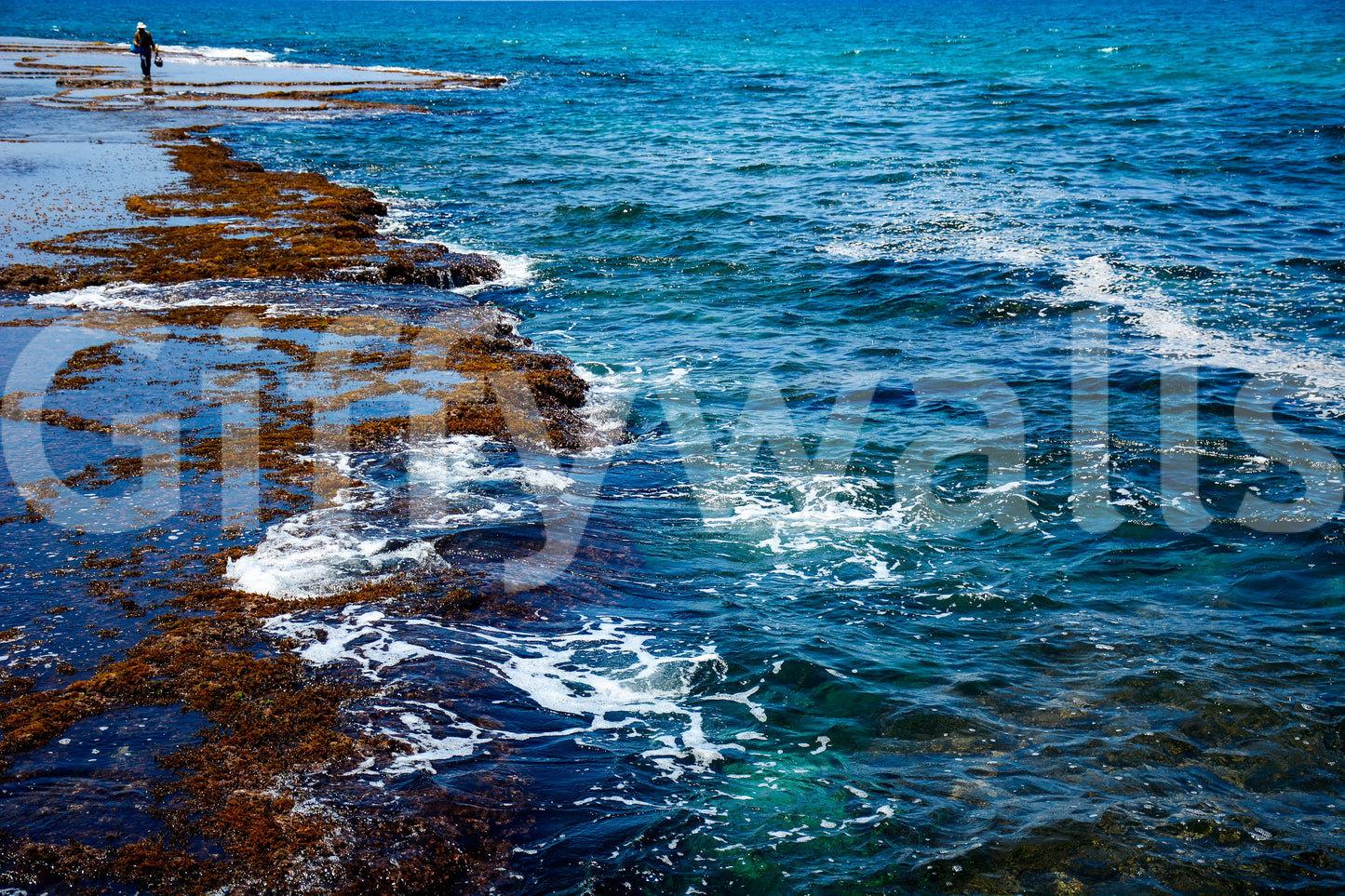 A high-quality serene water wall mural for walls.

