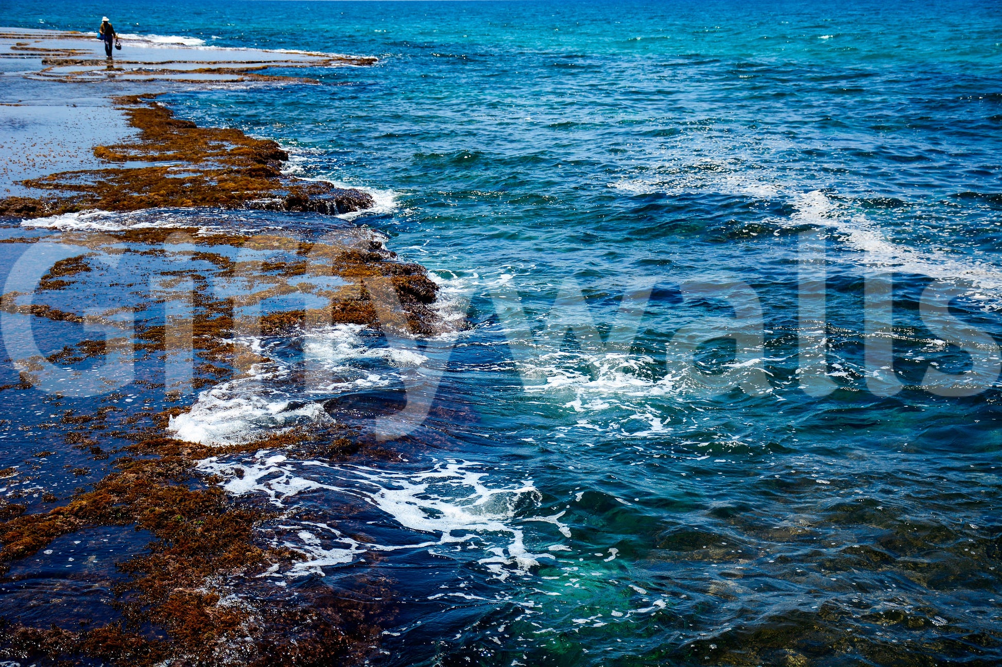 A high-quality serene water wall mural for walls.

