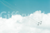 A high-quality minimalist wall mural for walls.

