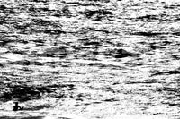 A high-quality serene beach wall mural for walls.

