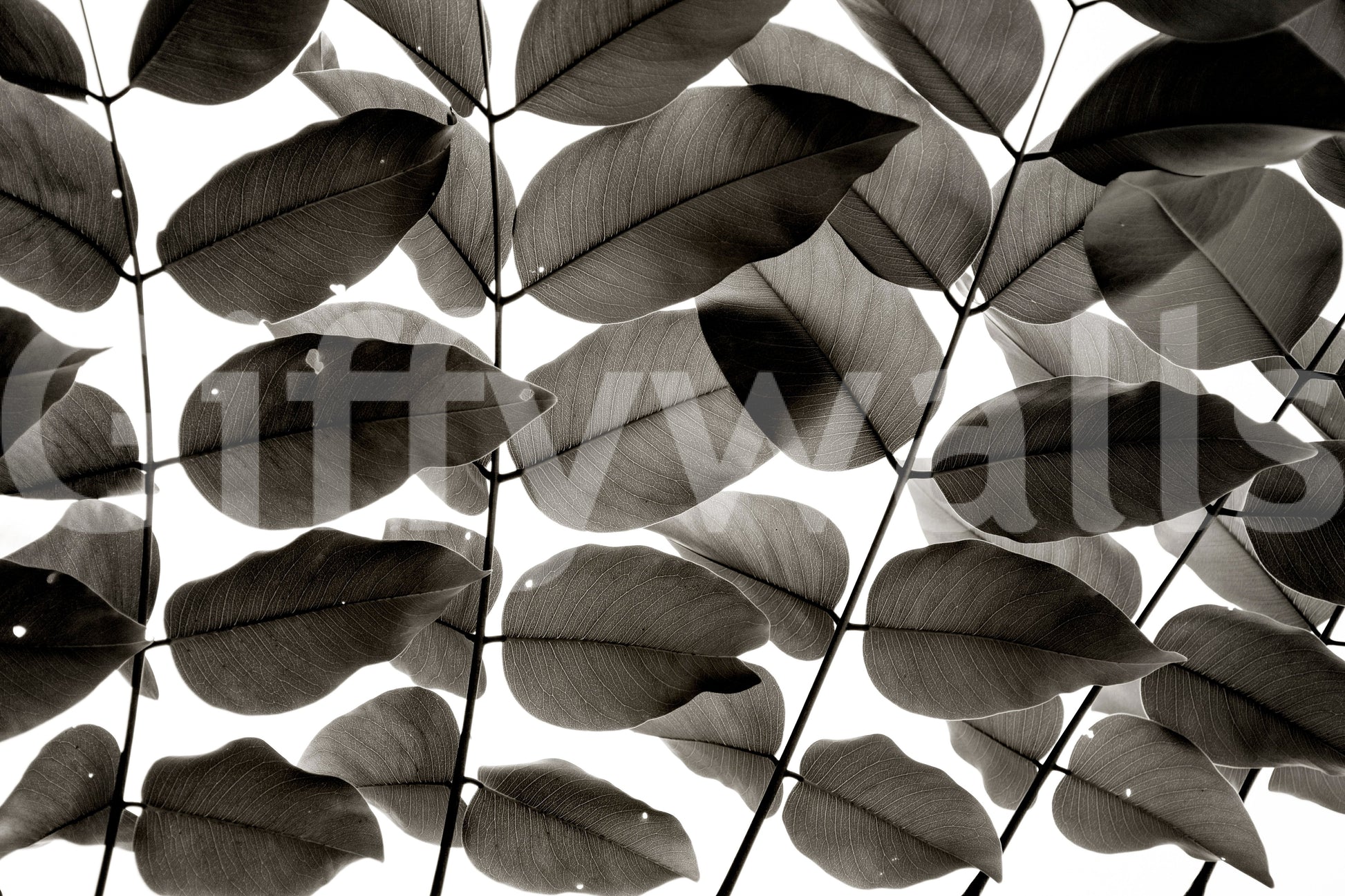 A high-quality serene tree wall mural for walls.

