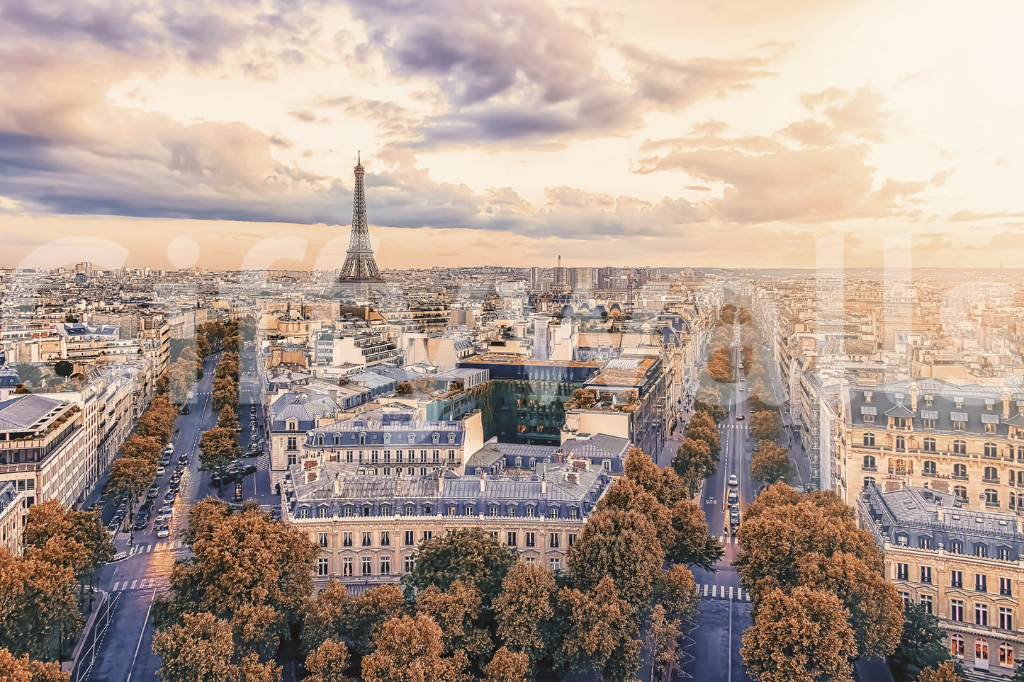 A high-quality serene city wall mural for walls.

