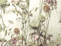 A high-quality serene field wall mural for walls.

