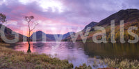 A high-quality peaceful lake wall mural for walls.

