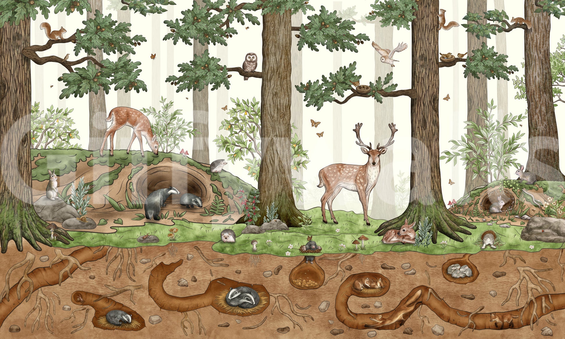 A high-quality serene tree wall mural for walls.

