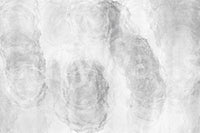 A high-quality minimalist wall mural for walls.

