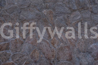 A high-quality minimalist wall mural for walls.

