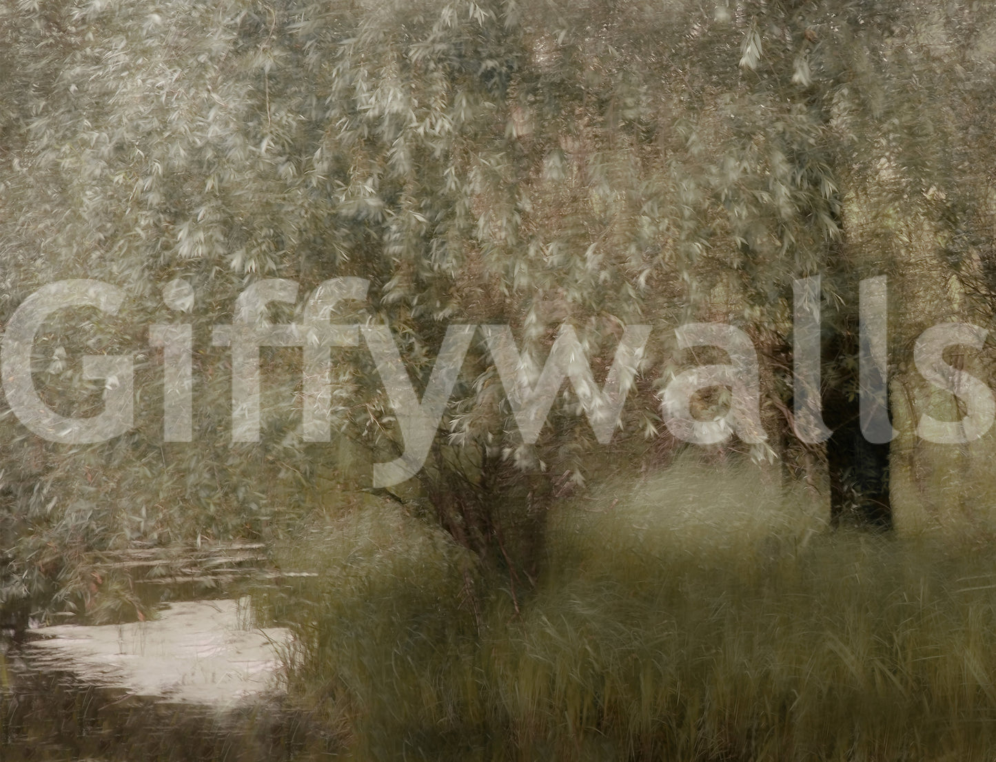 Willow Whispers Wall Mural -1534233