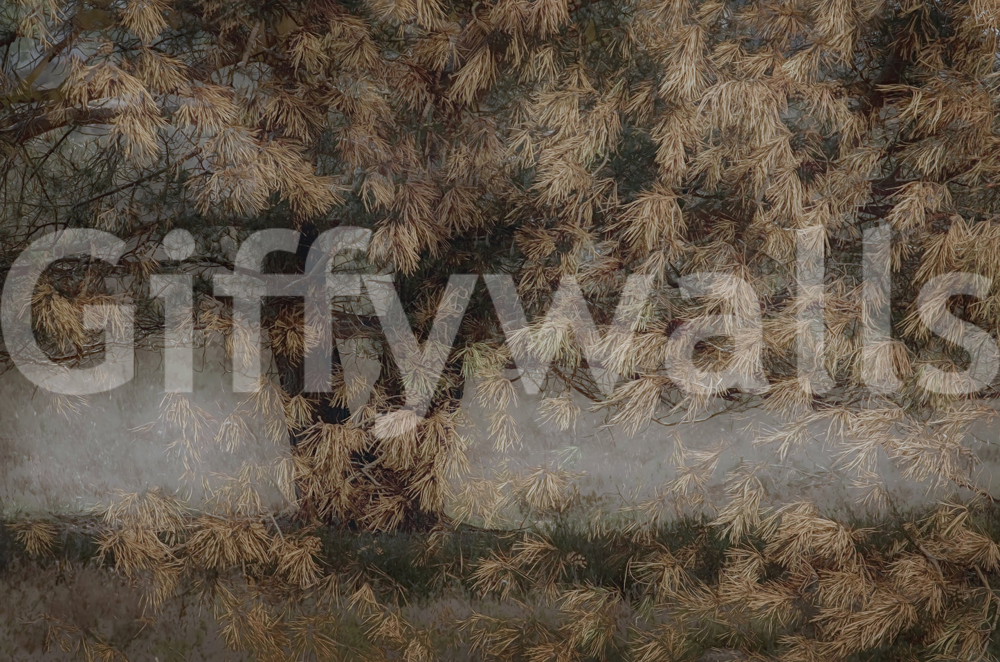 Whispering Pines Wall Mural -1531082