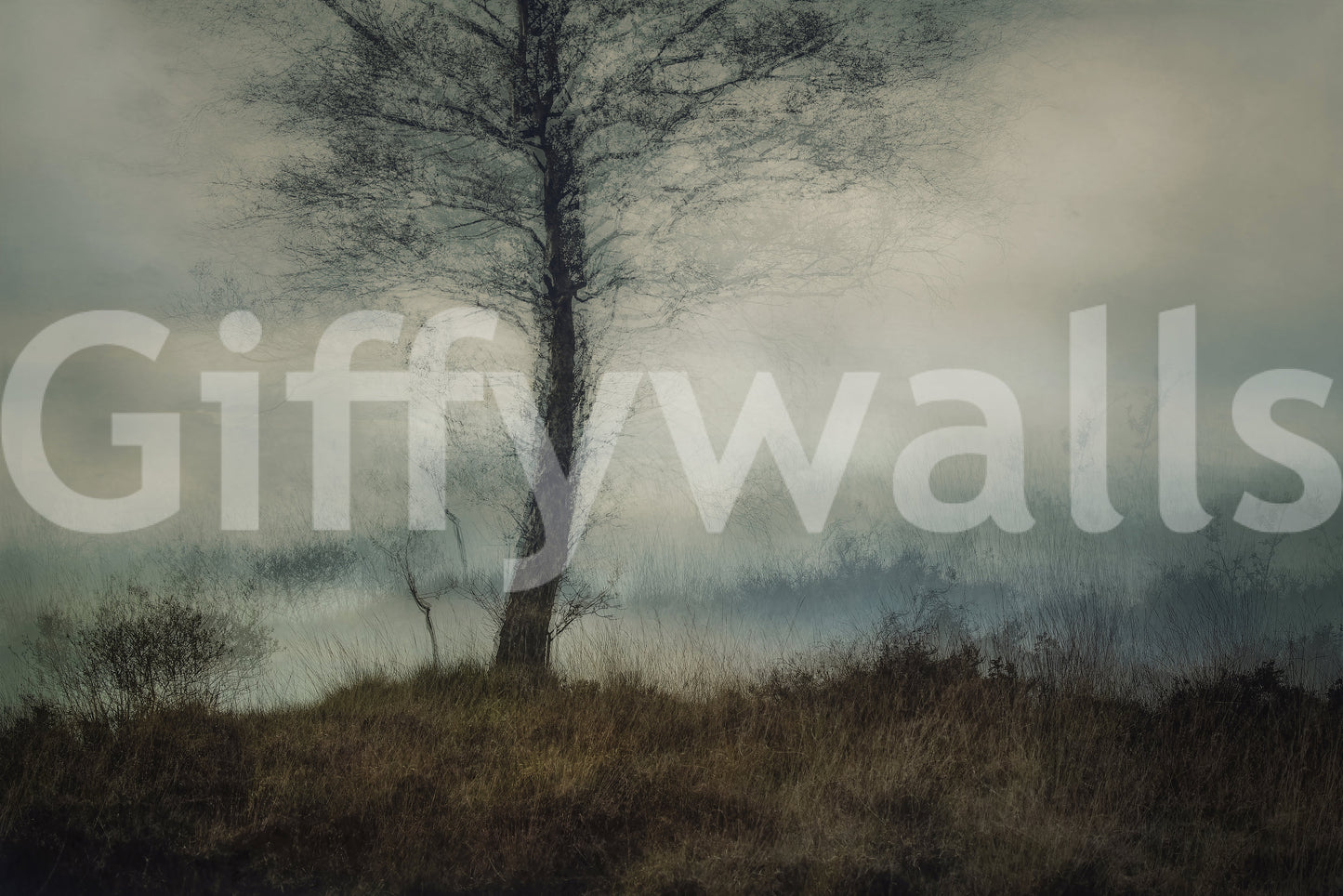 Misty Tree Wall Mural -1875105