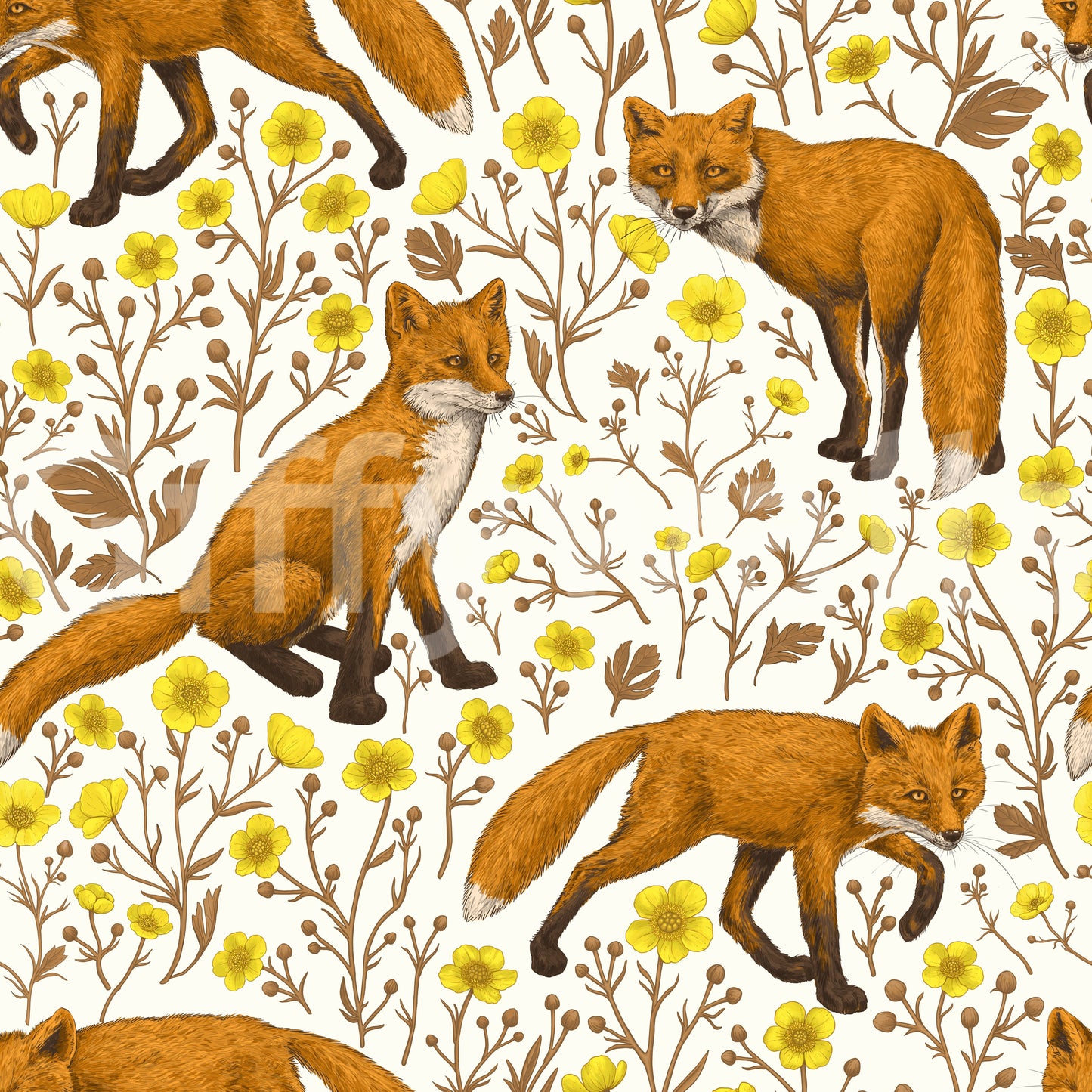 Foxes and buttercups on natural white Wallpaper⁠