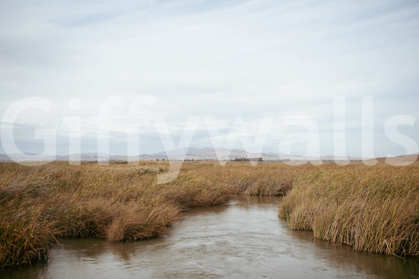 Tranquil Marsh View Wall Mural -2670006
