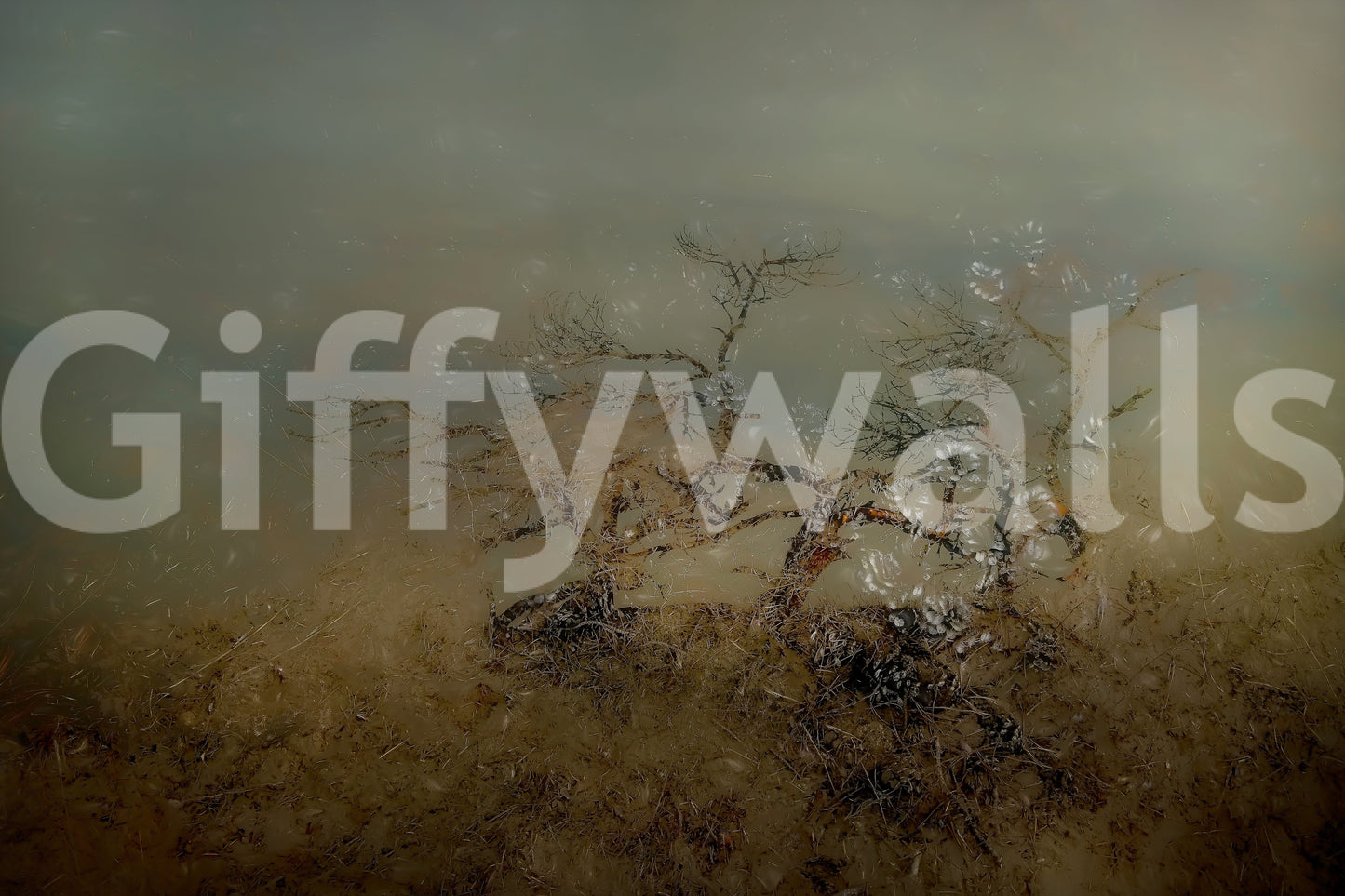 Misty Reflections Wall Mural -1737279