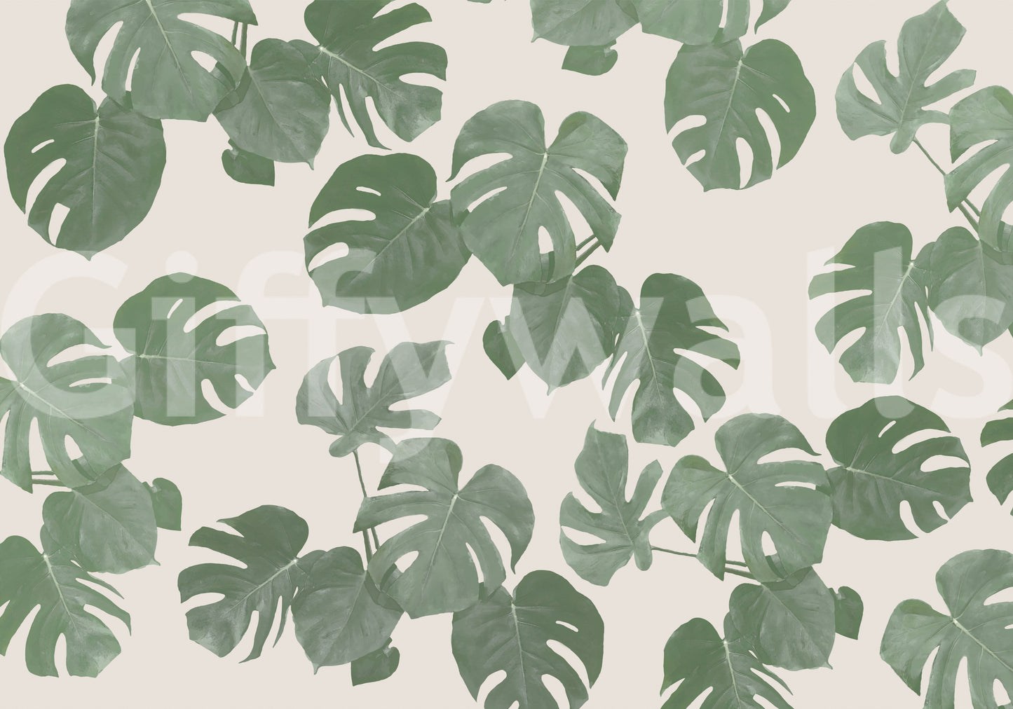 Monstera Dreams Wall Mural -2304903