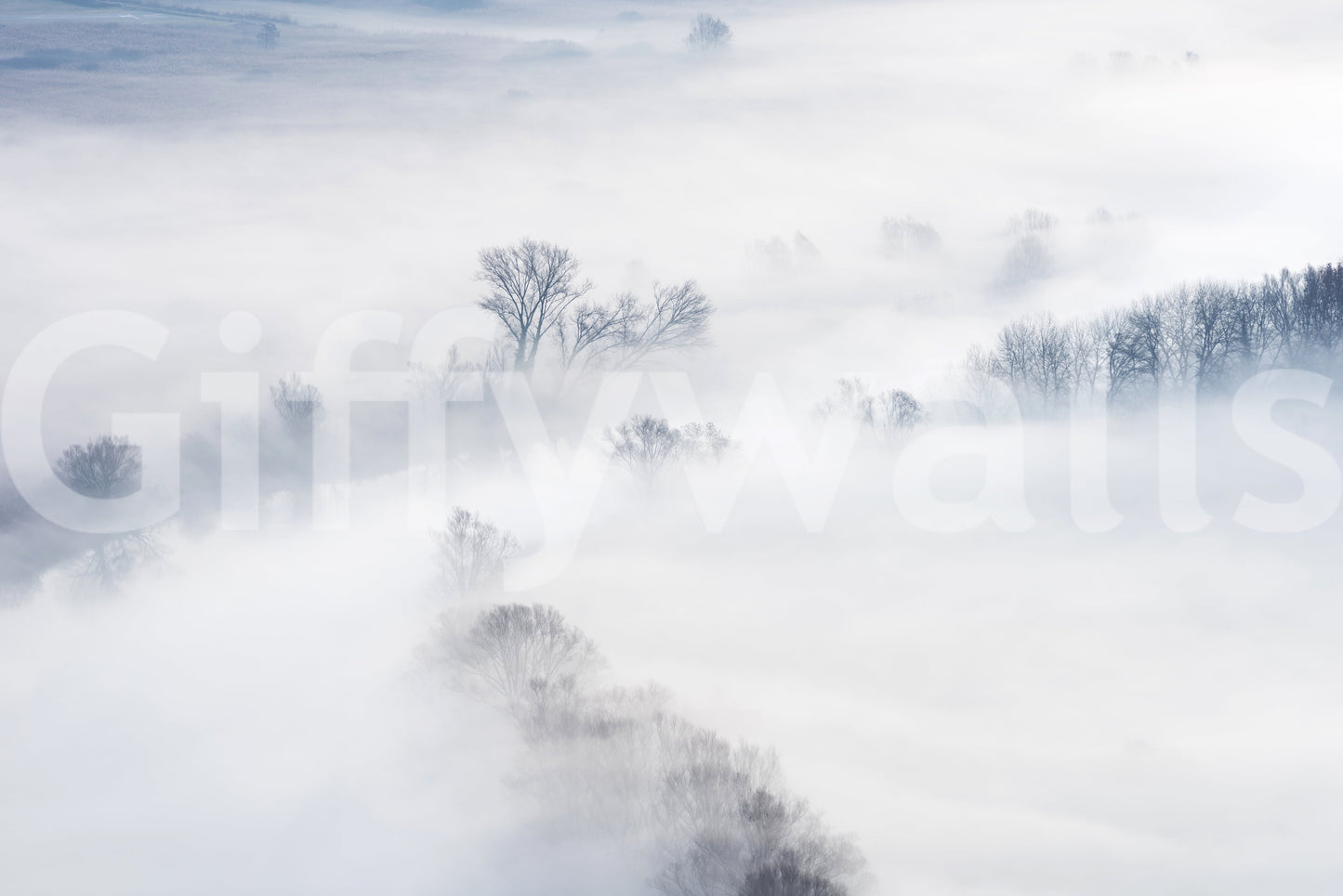 Misty Treescape Wall Mural -2159059
