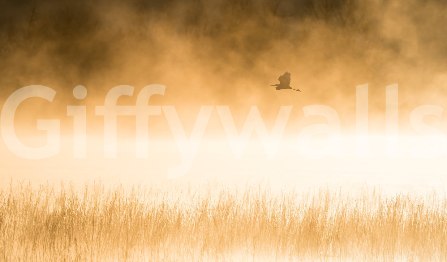 Golden Hour Flight Wall Mural -2227022